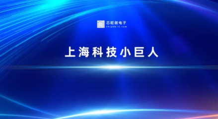 实力加码 | 芯旺微电子上海市科技小巨人企业立项，助力上海科技发展新篇章